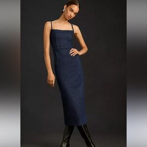 Reformation Delphinia Denim Dress